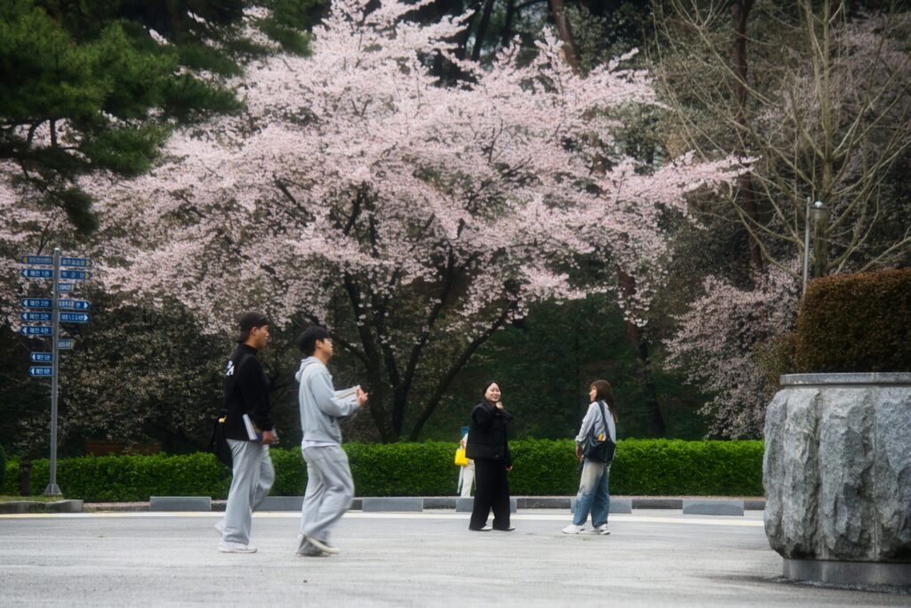 Seoul IB schools 2026 Korean Baccalaureate expansion public education