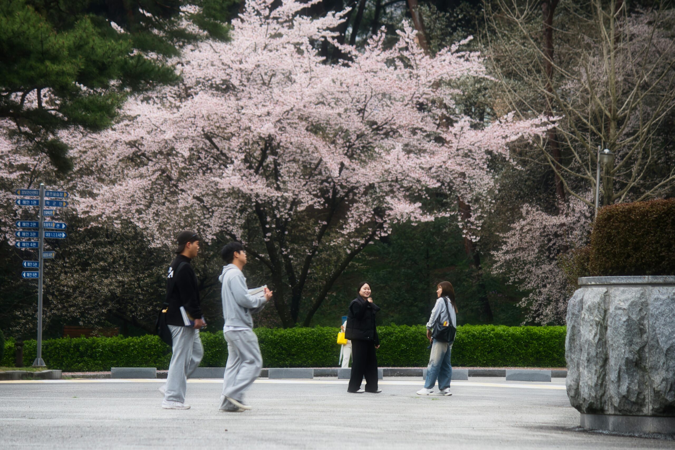 Seoul IB schools 2026 Korean Baccalaureate expansion public education