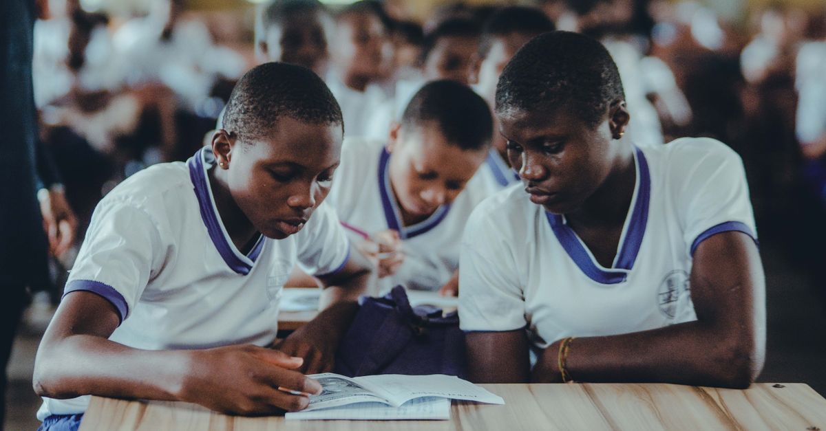 IB Diploma Programme 2030: What the New Systems Transformation Pathway Means for Students